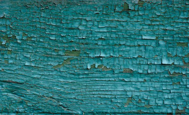 Background of green and blue painted wooden boards, painted wood texture - Photo, Image