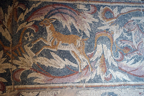 Animais no piso de mosaico na igreja da Virgem Maria em Madaba, Jordânia
 - Foto, Imagem