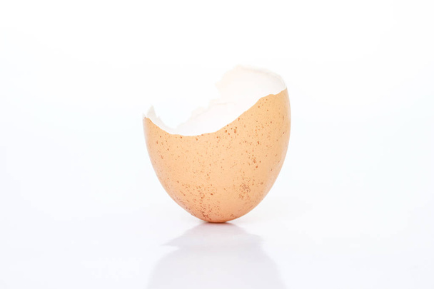 egg shell broken crack food on white background - Foto, afbeelding