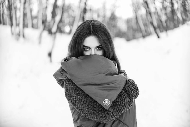 Pretty girl walking in the winter forest - Valokuva, kuva