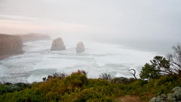 Magnifique vue de 12 apôtres à Victoria, Australie. Vidéo
  - Séquence, vidéo