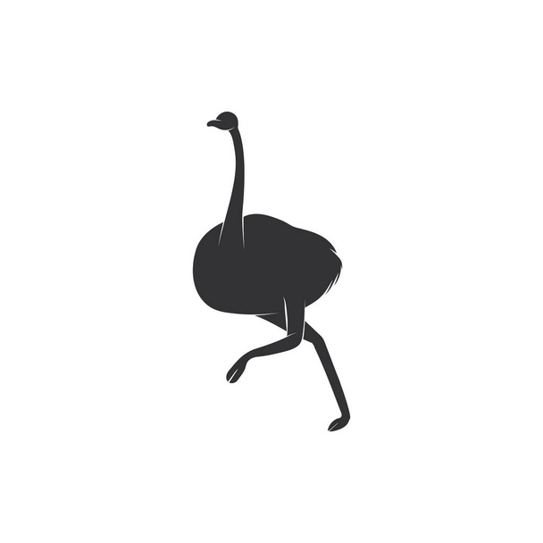 emu Vogel läuft Silhouette isoliert auf weißem Hintergrund. australischer Straußenschatten für Logo-Design. - Vektor, Bild