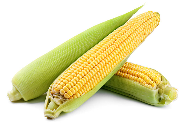 Ears of corn (Corncob) isolated on white background. Full depth of field. - Photo, Image
