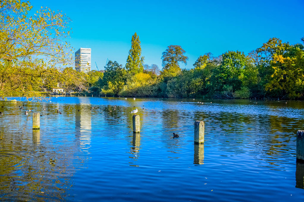 Belle vue sur le paysage du lac Serpentine à Hyde Park, Londres, Royaume-Uni
  - Photo, image