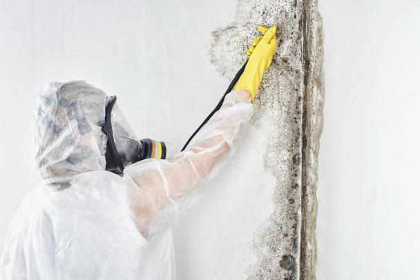 A professional disinfector in overalls processes the walls from mold. Removal of black fungus in the apartment and house. Aspergillus - Zdjęcie, obraz