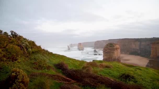 Prachtig uitzicht op de 12 apostelen in Victoria, Australië. Video  - Video