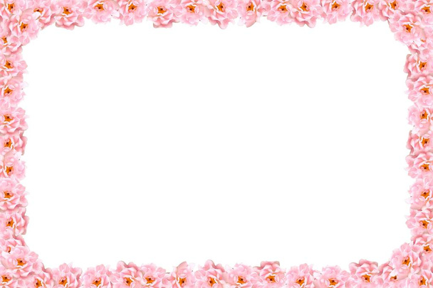 Rahmen aus vielen rosafarbenen Rosenblüten, nützlich zum Valentinstag oder zum Thema Gartenarbeit, in der Mitte leer - Foto, Bild