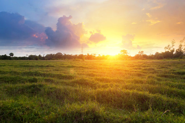amanecer soleado en un campo
 - Foto, imagen