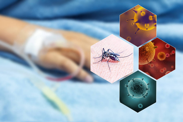 Здоров'я питання концепції, зображення комарів як вірус перевізника - Фото, зображення
