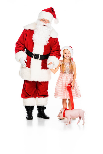 Santa claus i małe dziecko ze smyczy piggy na białym tle - Zdjęcie, obraz