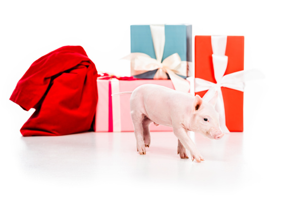 Close-up shot van de piggy en kerst cadeaus geïsoleerd op wit - Foto, afbeelding