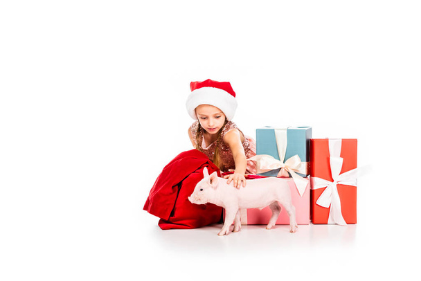 mignon enfant heureux dans santa chapeau caressant cochon et assis près de Noël présente isolé sur blanc
 - Photo, image