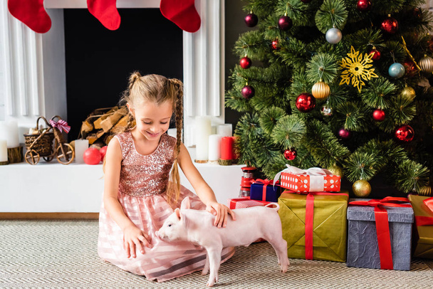 クリスマスの時期に子豚と遊ぶ愛らしい笑みを浮かべて子供 - 写真・画像