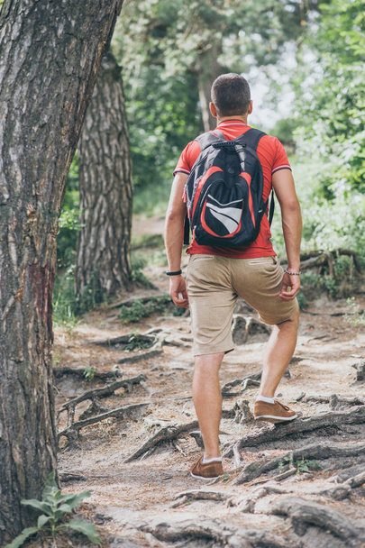 Reiziger man met rugzak is wandelen in het bos - Foto, afbeelding