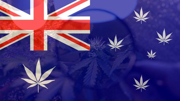 pěstování a konzumace marihuany v Austrálii. Dovozcem marihuany světě  - Fotografie, Obrázek