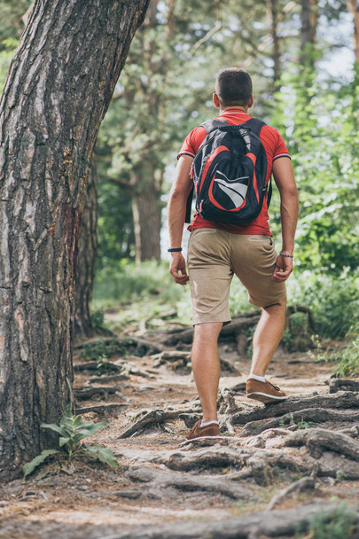 Traveler man with backpack is hiking in the forest - Фото, изображение