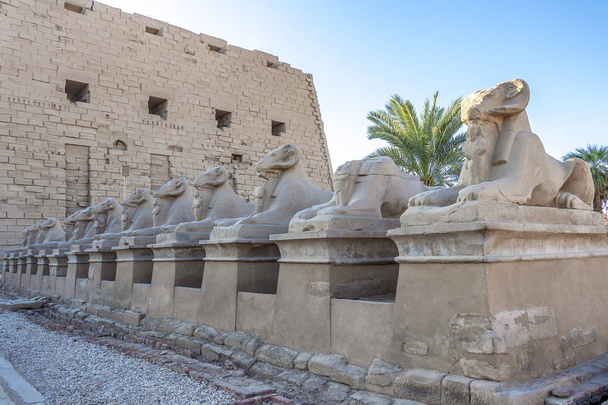 Вход в храм Луксор, большой древнеегипетский храмовый комплекс, расположенный на восточном берегу реки Нил в городе сегодня известный как Луксор (древние Фивы). Был посвящен богу Амон-Ра
 - Фото, изображение