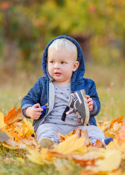 portrait of a little boy in nature - Zdjęcie, obraz