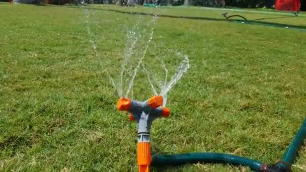 Gemeinschaftsgarten mit Nahaufnahme von Wasser-Sprinklerbewässerung - Filmmaterial, Video
