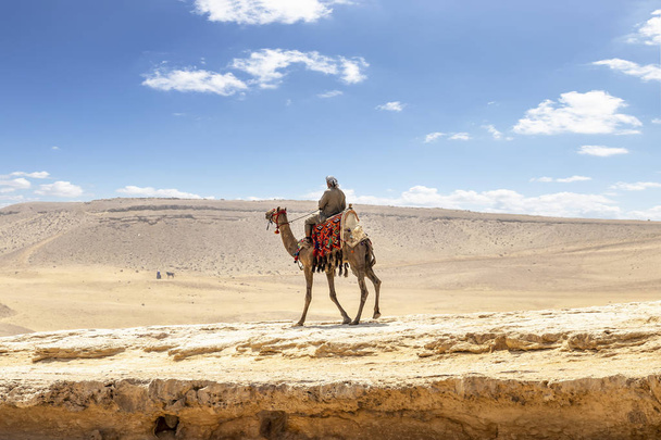 Bedouin on camel near pyramids in desert - Photo, Image