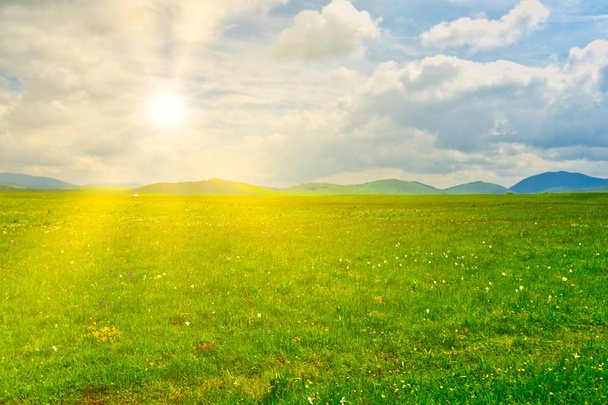 太陽の草原 - 写真・画像