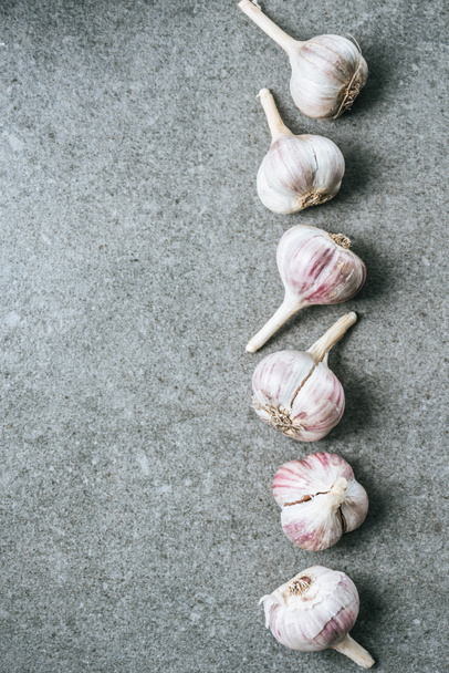 top view of vertical row of ripe garlic bulbs on grey background - 写真・画像