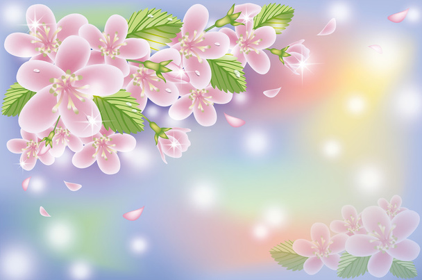 Spring cherry blossom card, vector illustration - Vektör, Görsel