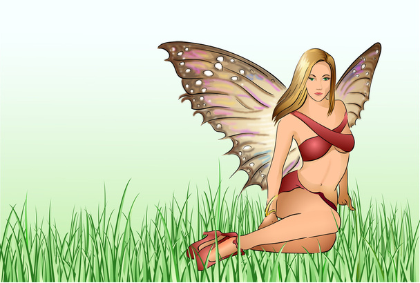 borboleta mulher
 - Vetor, Imagem