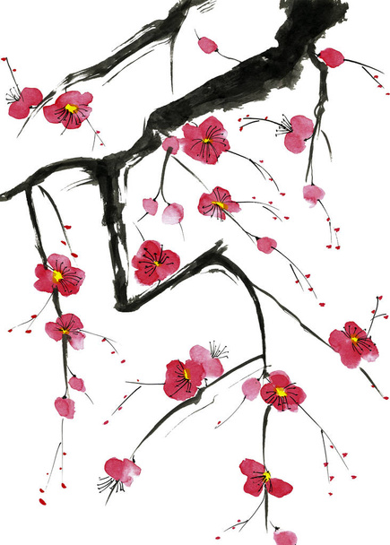 A branch of a blossoming tree. Pink and red stylized flowers of plum mei, wild apricots and sakura . Watercolor and ink illustration in style sumi-e, u-sin. Oriental traditional painting.   - 写真・画像