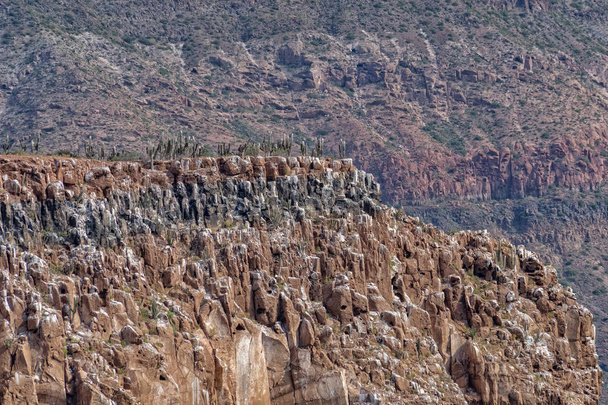 サボテンと山々 のパノラマ バハ カリフォルニア スル岩砂漠の風景ビュー コルテス海 - 写真・画像