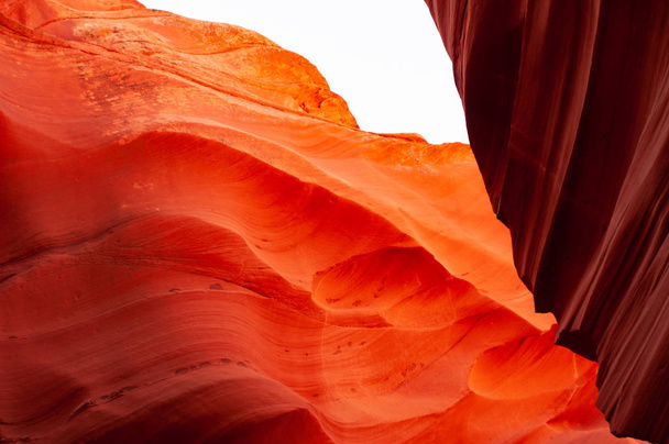 Brilliant colors of Upper Antelope Canyon, the famous slot canyon in the Navajo reservation near Page, Arizona, USA. Beautiful view of amazing sandstone formations in the famous antelope canyon on a sunny day. - Photo, Image