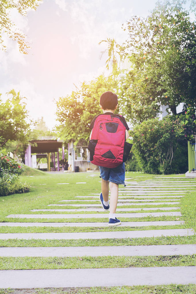 Boy walking to the school - 写真・画像