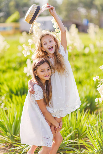 portrait of two girls of girlfriends on a summer nature - Фото, изображение