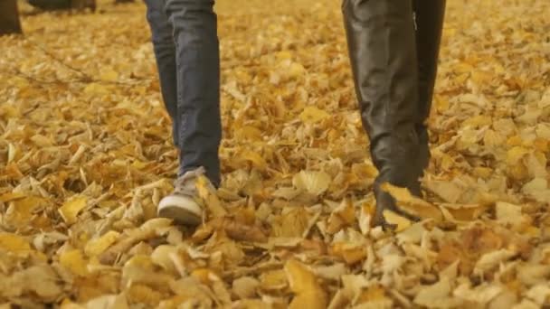 Frau und kleines Mädchen gehen auf den gefallenen Herbstblättern. - Filmmaterial, Video