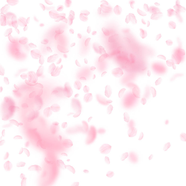 桜の花びらが落ちてきた。ロマンチックなピンクの花  - ベクター画像