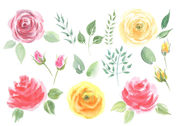Collection Watercolor Roses.  Art design flower vintage illustration. - Photo, image