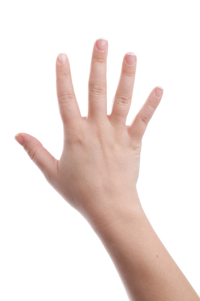 kadın eli - Fotoğraf, Görsel