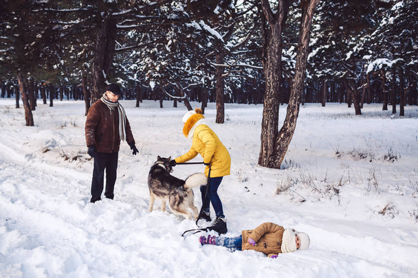 楽しい幸せな若い家族冬の公園で犬と遊ぶ。小さな女の子が雪の中で横になっています。 - 写真・画像