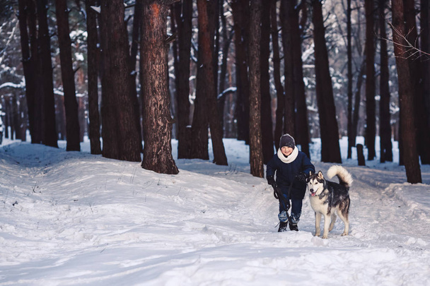 犬と少年は森で冬に実行します。冬の休暇でアクティブな休日の概念 - 写真・画像