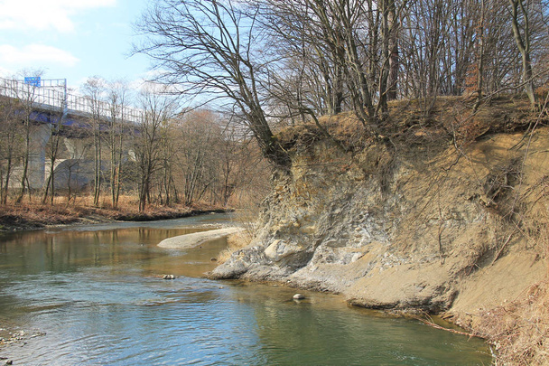 podkopal břehu řeky Olše (Olza), Česká republika - Fotografie, Obrázek