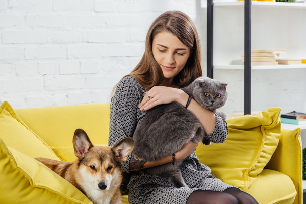 beautiful woman sitting on sofa with pembroke welsh corgi and adorable scottish fold cat - Photo, image