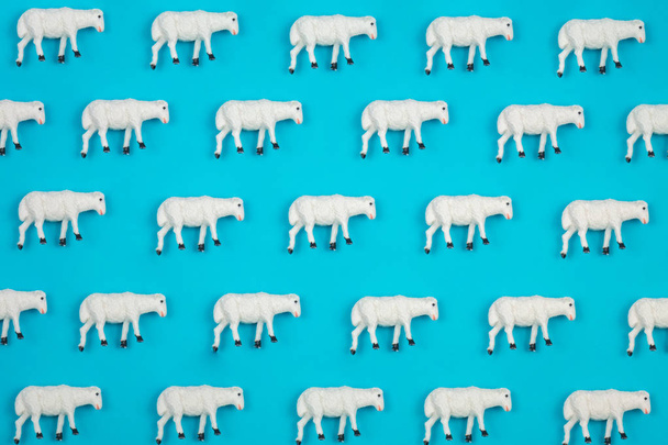 Creative and minimal pattern made of sheep. Blue background. Flat lay top view. - Photo, Image