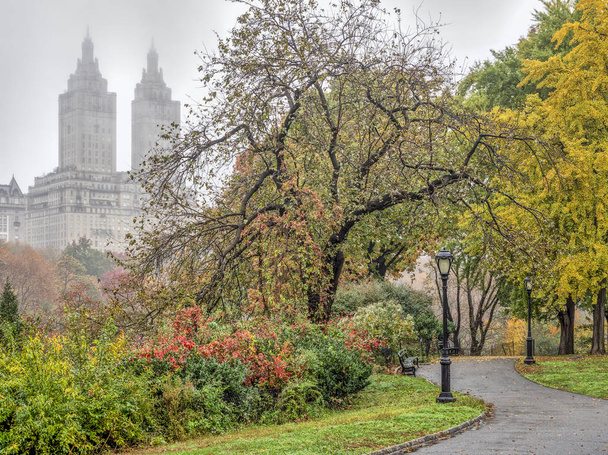 Центральный парк, Манхэттен, Нью-Йорк осенью
 - Фото, изображение