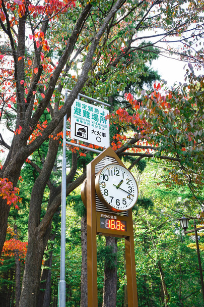 Klok toren aan voorspellingen het weer op Maruyama Park in de herfst seizoen op Hokkaido Japan - Foto, afbeelding