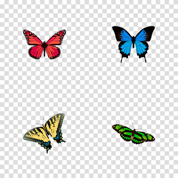 Pembe-kanat, birdwing, polyommatus kelebek gerçekçi simgeler kümesi Icarus ve diğer simgeler web mobil app logo tasarımı için. - Vektör, Görsel