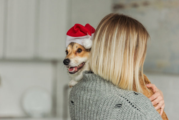 Nahaufnahme einer jungen Frau, die zu Hause einen niedlichen Corgi-Hund mit Weihnachtsmütze trägt - Foto, Bild