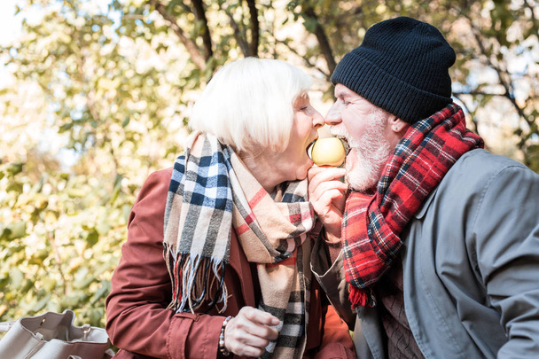 Positive aged couple eating an apple together - Foto, imagen