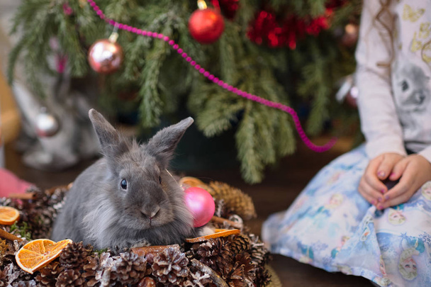 A gray rabbit sits a Christmas basket.Christmas decorations. - Fotoğraf, Görsel