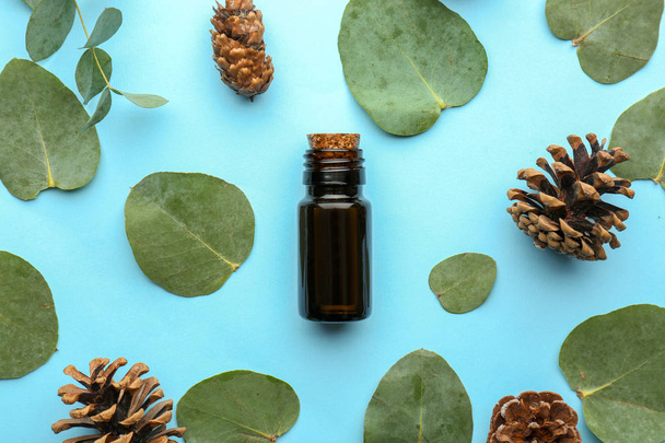 Бутылка эфирного масла эвкалипта, листьев и конусов на цветном фоне
 - Фото, изображение