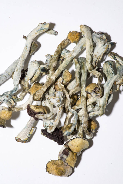 наркотичний грибок, сухі наркотичні речовини
 - Фото, зображення